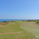 캐슬 골프&골프존 이미지