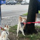 룰루랄라 이미지