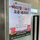바라겔 | 충남 서산 최대 규모 반려견운동장 바라겔 애견카페 (수영장도 있음!!)
