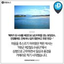 한국 듀이
