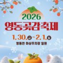 영동할인마트 | 영동 곶감축제 200% 즐기기! 입장료부터 할인 혜택, 주차 조치사항 총정리
