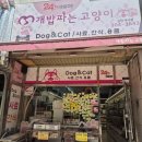 일산백석동 강아지 고양이 뼈간식 용품 개밥파는고양이
