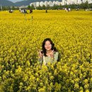고피자태릉 | 인생은 고통일까아아...¿