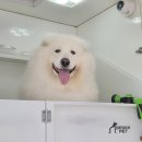마코청주 이미지