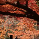 일박이일 A 이미지