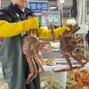 풍물거리 사무실 앞 | 강릉 주문진 수산시장 대게 주문진항 풍물시장 대영수산 포장후기