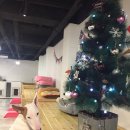 달중이네 펫호텔 이미지