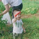 하준농장 이미지