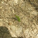 서반농장 이미지