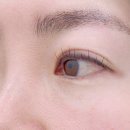 한올한올 눈썹, 속눈썹 주엽점 | 서현속눈썹펌 눈썹펌 자연스럽게 잘하는 곳 올뷰티끄