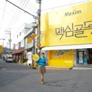 물든 이미지