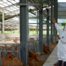 종합가축약품 이미지