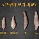 파머스바스켓