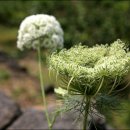 진오농장 이미지