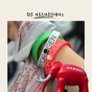 15 | [ 원주 ] 원주 마무트 마운틴 레이스 15km 후기 : 기록조회