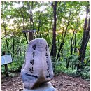 제862차(연 25차) 정기산행:백두대간 함백산~ 매봉산 바람의 언덕 산행[2026년 7월 5일(일) 01시 30분 ] 이미지