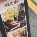 [부산] 하단 마사지카페 자몽한 오후 후기