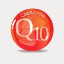 버썸버디짐 이미지