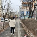 샤방하개 이미지