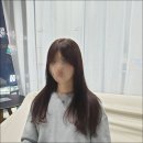 홍샘 이미지