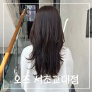 서초남서울 | 서초미용실 오즈 서초교대점 수현실장님 애쉬브라운 염색 한 후기