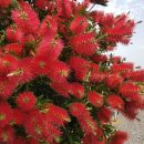 드림 팬션 이미지