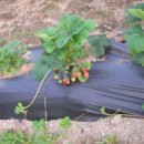 한아농장 이미지