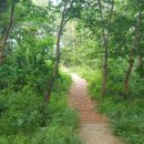 아름도담길 이미지