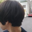 서귀포라온헤어