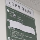 양주글램핑코리아애견캠핑장 | 서울 근교 당일 캠핑장 바베큐 글램핑 양주 [느티포레] 내돈내산 후기
