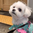 365하나로약국 이미지