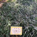 신세계 홈파티스 스튜디오 농성점 | 감성카페 투어 시립미술관 조경 인테리어 살펴보기 - 광주편