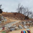 펫앤스토리 이미지