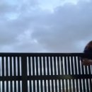 선수세탁 이미지