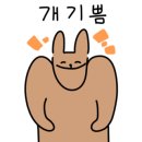 아돌첸도피아노 이미지