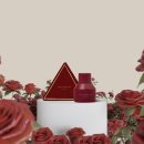 인사이드 이미지