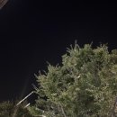 인천지방법원 별관 이미지