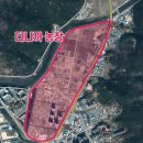 길온교 Daum카페