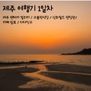 고불락 민박 | 5박6일 여행] 1일차 :: 제주 렌터카 빌리카 / 고불락식당 / 신화월드 랜딩관 / 카페 쉼표 / 다다익고