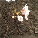 달과별들의이야기 이미지