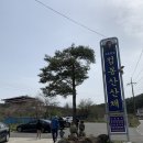 점봉산 산채 이미지