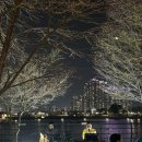 마라신더웍 네이버블로그
