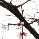 김해건설공업고등학교 이미지