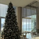 엄마랑 유리드믹스 11-17개월 | 거제 벨버디어 스위트 오션뷰 17개월 아기랑 여행 (룸컨디션/ 키즈카페 / 실내수영장)