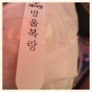 파랑새다육 | 제이팟 미니 다육이 추천, 이름표까지 붙어오는 싱싱한 5종 세트의 모든 것