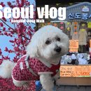 신도봉시장 이미지