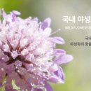 허브라파
