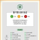 올가힐링