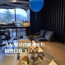 마실무인호텔 | 강원도 홍천 여행 소노펫 비발디파크 부대시설 띵킹독 애견동반카페 , 무인편의점 후기