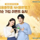 올원스포츠 이미지